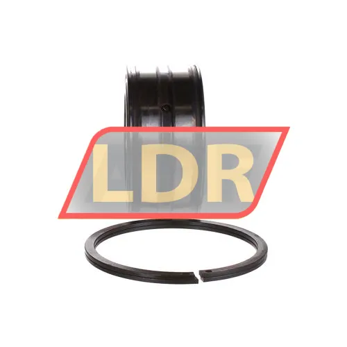 INA SL045012-PP-2NR ürün fotoğrafı 2
