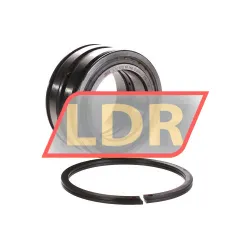 INA SL045012-PP-2NR