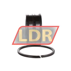 INA SL045012-PP-2NR rulman resim 2