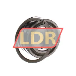 INA SL045011-PP-2NR