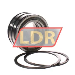 INA SL045011-PP-2NR rulman resim 2