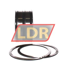 INA SL045011-PP-2NR rulman resim 3