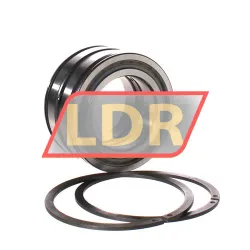 INA SL045011-PP-2NR rulman resim 4