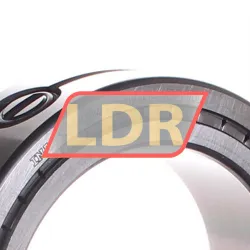 INA SL014914-A rulman resim 2