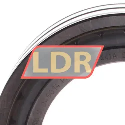 INA SL045014-PP-C3 rulman resim 2