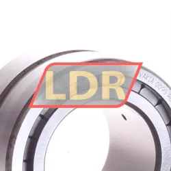 INA SL185008-A-C3 rulman resim 2