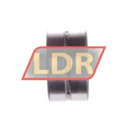 INA SL185008-A-C3 rulman resim 3