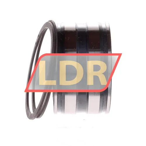 INA SL045006-PP-2NR