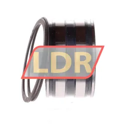 INA SL045006-PP-2NR