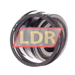 INA SL045006-PP-2NR rulman resim 2