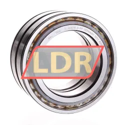 INA SL045018-D-PP