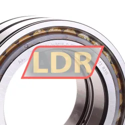 INA SL045018-D-PP rulman resim 2