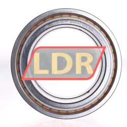 INA SL04140-PP rulman resim 2