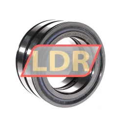 INA SL045017-D-PP-2NR-C3-GA22