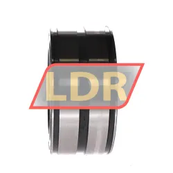 INA SL045017-D-PP-2NR-C3-GA22 rulman resim 2