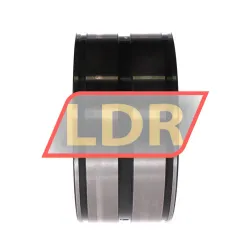 INA SL045022-D-PP-C3-GA22 rulman resim 2