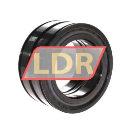 INA SL045016-D-PP-C3