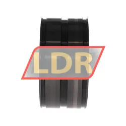 INA SL045016-D-PP-C3 rulman resim 2