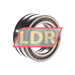 INA SL045013-PP rulman resim 3