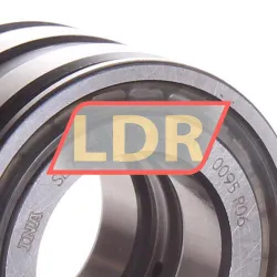 INA SL045005-PP rulman resim 2