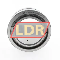 INA SL185010-A rulman resim 2