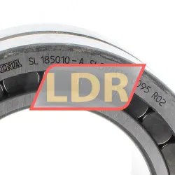 INA SL185010-A rulman resim 3