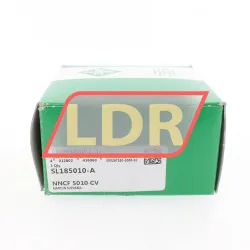 INA SL185010-A rulman resim 4