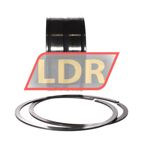 INA SL045019-D-PP-2NR ürün fotoğrafı 3