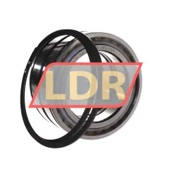 INA SL045019-D-PP-2NR