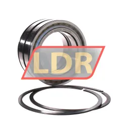 INA SL045019-D-PP-2NR rulman resim 2