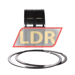INA SL045019-D-PP-2NR rulman resim 3