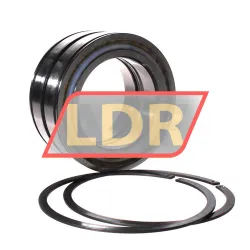 INA SL045019-D-PP-2NR rulman resim 4