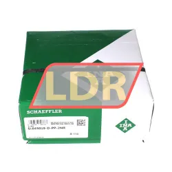 INA SL045019-D-PP-2NR rulman resim 5