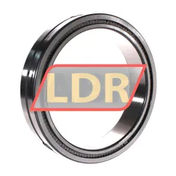INA SL014832-A-C3 rulman resim 3