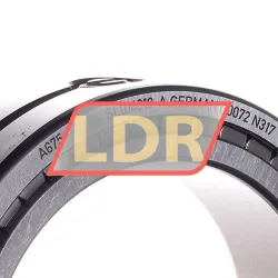 INA SL014918-A rulman resim 2