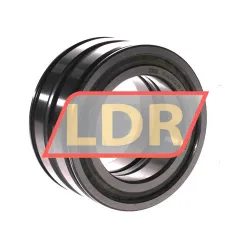 INA SL045012-PP-C3-L091