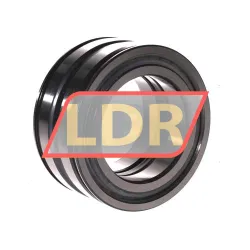 INA SL045012-PP-C3-L091 rulman resim 2