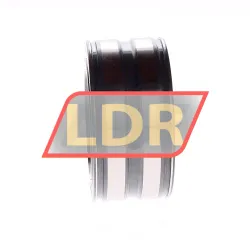 INA SL045012-2Z rulman resim 2