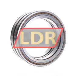 INA SL04170-D-PP
