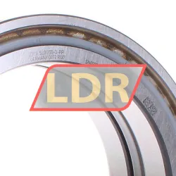 INA SL04170-D-PP rulman resim 2