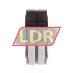 INA SL04170-D-PP rulman resim 3