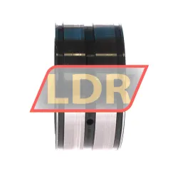 INA SL045016-D-PP-C2 rulman resim 2