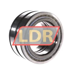 INA SL045016-D-PP-C2 rulman resim 3