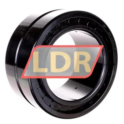 INA SL185022-A-BR-C3