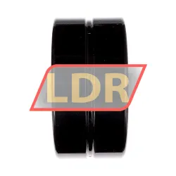 INA SL185022-A-BR-C3 rulman resim 2