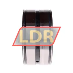 INA SL045022-D rulman resim 2