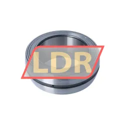 INA SL06024-E rulman resim 2