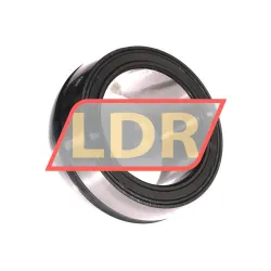 INA SL06016-E rulman resim 2