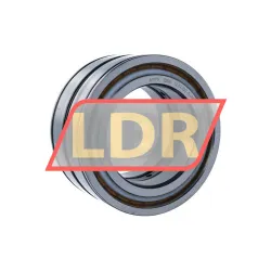 INA SL04100-D-PP-C3