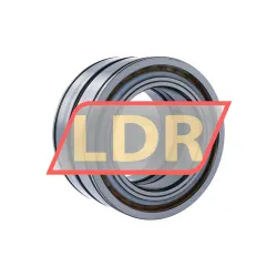 INA SL04100-D-PP-C3 rulman resim 2